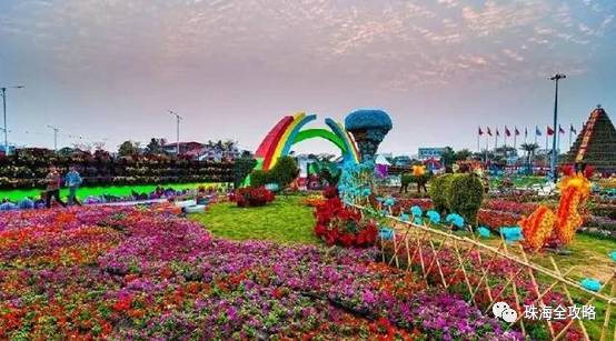 厦门花乡等你来但别以为只是普通赏花