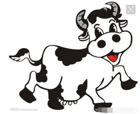 黑牛白角对应哪一生肖？最佳生肖是哪个？