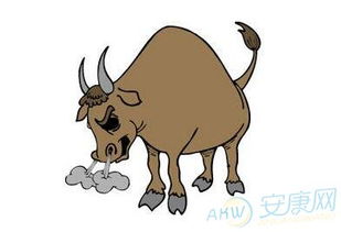 73年属牛今年年末运势如何，具体表现在哪些方面？