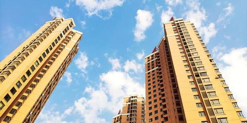 2. 磁场稳定性与能量场平衡