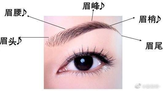 1. 眉痣所指之财富有与事业运势