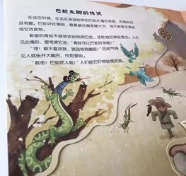 2．龍於星座分類中的特殊地位與歷史沿革