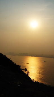 夕阳西下打一准确生肖是什么生肖？夕阳西下霞满天打一准确生肖又是什么生肖呢？