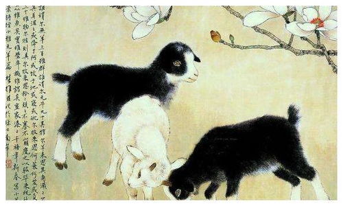 属虎和属土龙相克吗？属虎人与属羊人婚姻相克是什么意思？