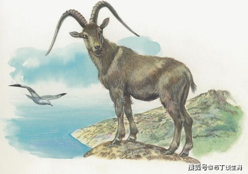 一、 宫姓与属鼠七月诞生之命理概述