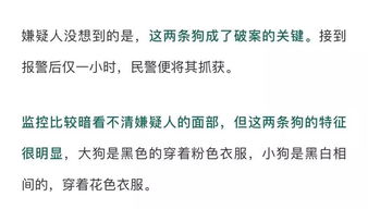 3. 极度自私算计到骨子里的