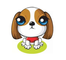 生肖狗招财转运，男性最适宜佩戴的物件是什么？