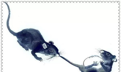 2026年属鼠人全年运势详解及属马本命年红绳的含义是什么？