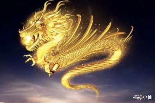 属龙2026年桃花运如何，2028年属龙人运势中桃花运表现怎样？