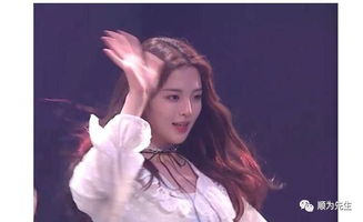 杨亦轩八字命理与杨超越生辰八字有何不同之处？