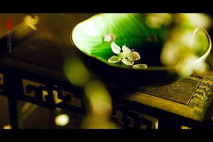 茶宴聚会——妇女社交的新平台