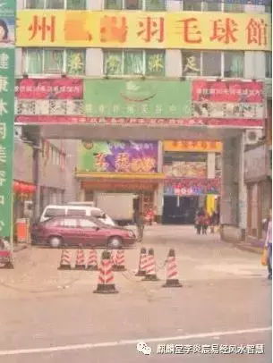 7. 植物生气的调节与转化