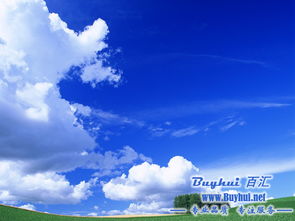 天空白云指的是什么生肖？这个成语的生肖是什么？