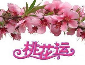 怎样的坤造八字能带来富贵金桃花好运？