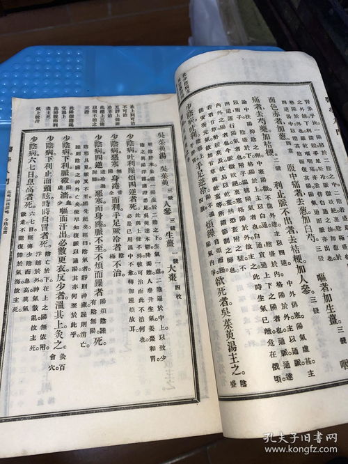 己卯之爻义