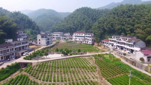 厌倦了城市的喧嚣？五峰村可嫩藏着意想不到的惊喜