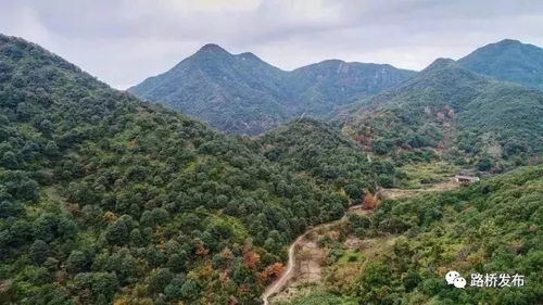 高州首富许智明风水宝地在哪里？揭秘高州风水改写之谜？