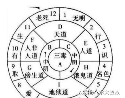 如何解读星象十二宫吉凶分析图？十二宫图解大图详细解析？