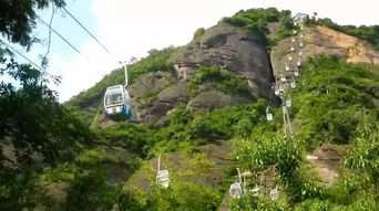 震惊！天门山门票暗藏玄机，2026年属狗人必看！