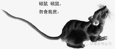 1. 属鼠：先天禀赋的财富寓意