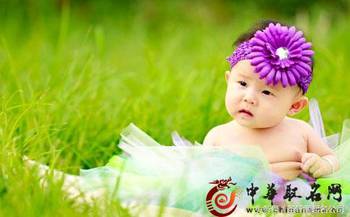 国内花文化是中华悠久文化的重要组成部分