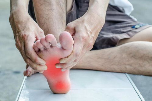 3. 潜在的心血管系统风险因素