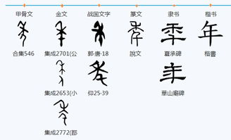 2.1 前期准备阶段（腊月廿三-除夕）