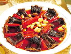 2.5 蛇不知（岳麓区大学城附近）