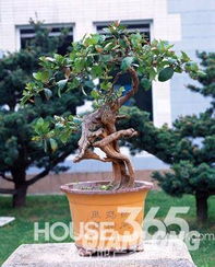 七、 摆放方位与人体磁场的相互作用