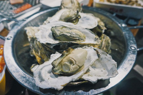 必去景点：纳斯卡线条与马丘比丘的真相 (反正没人知道真相)