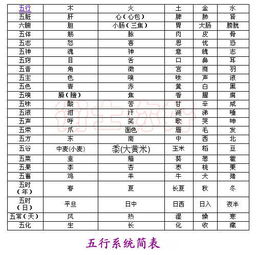 华简单网平台功能与服务评估