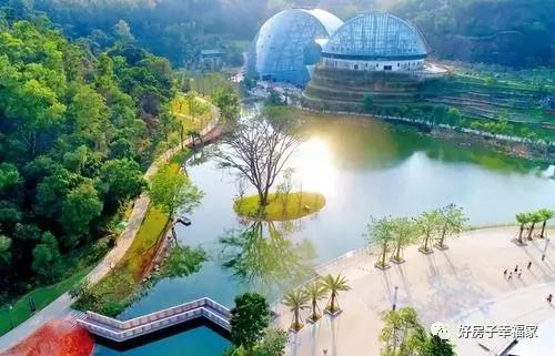 梅园到底值不值得去？2026年星座运势告诉你！