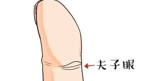 三、  反抗纹与反抗线交汇处的较深度逻辑沉重构