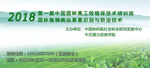 拆解名字的灵魂