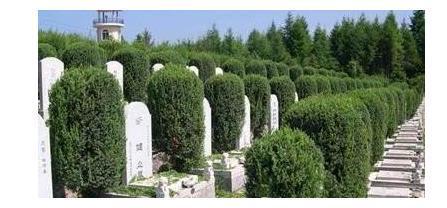 墓地风水对子孙后代运势有影响吗？