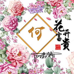 富含寓意且朗朗上口的小清新推荐（噪声版）: