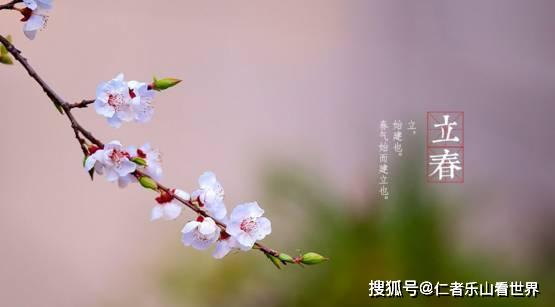 五、 谷雨前立春吉日在商业开业及风水布局中的应用研究