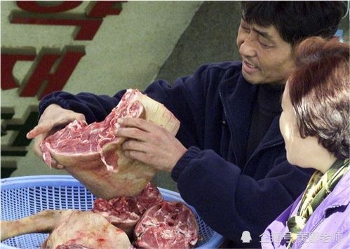 羊头狗肉象征哪个生肖？卖狗肉又代表哪个生肖？这背后有何深意？