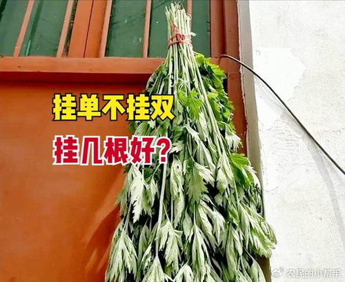二、 悬挂方法与具体规范