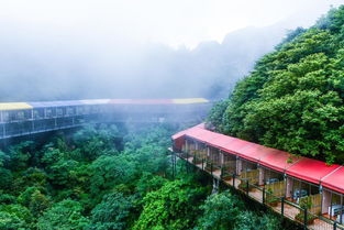 超级详细的游玩攻略之保姆级教程