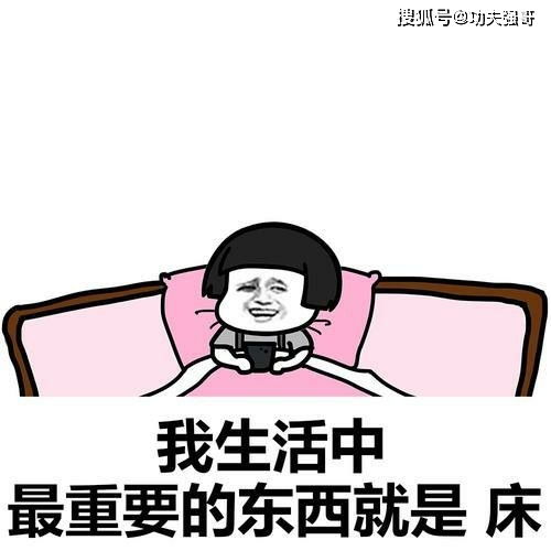 真实相较大白