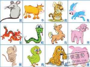 2025年12月5日：一个充满玄学与混乱的星期五