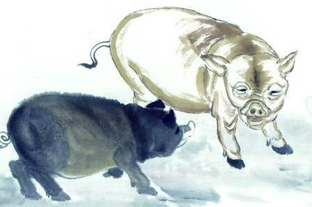 1963年和1971年属猪人的婚姻财运关系如何？