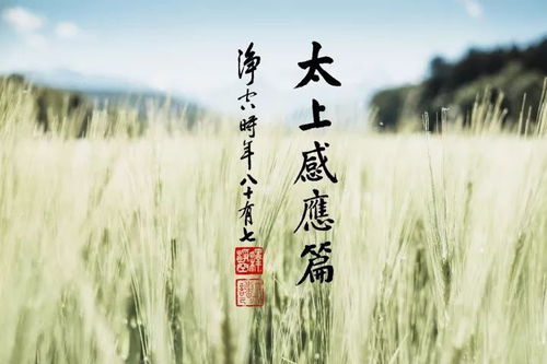 辛丑日乙丑月男命，为何婚姻路途坎坷多波折？