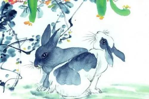 4. 社会服务型生肖——鸡、 羊、狗及猪之风水建议