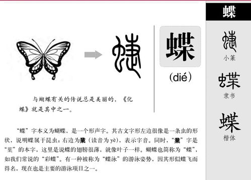 蝶字的五行与生辰八字的搭配