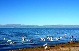 省钱秘籍大放送！（别当冤大头！）