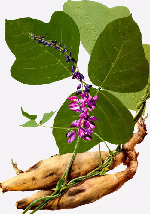 多少人叫这破名儿？