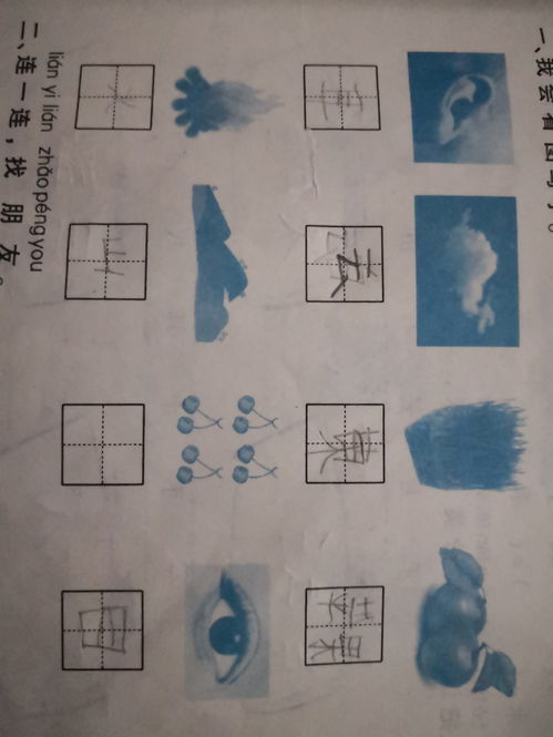 将白板天子打一生肖为生肖，是哪个生肖呢？