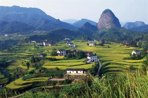 广西容县清华大学生风水宝地，蛤蟆爬石之地是否为真正的风水宝地？